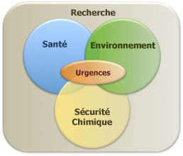 Domaines d'expertise